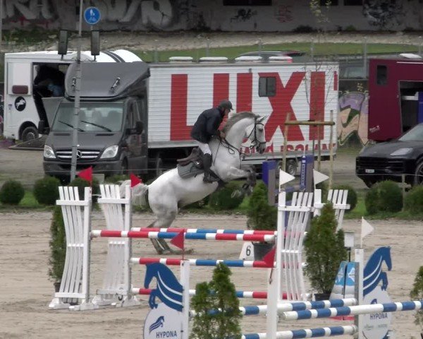 Reitturnier Basel 2024