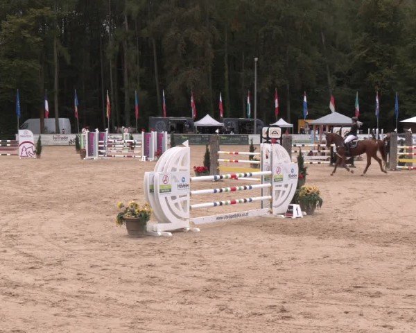Reitturnier Ranshofen - Braunau am Inn 2024