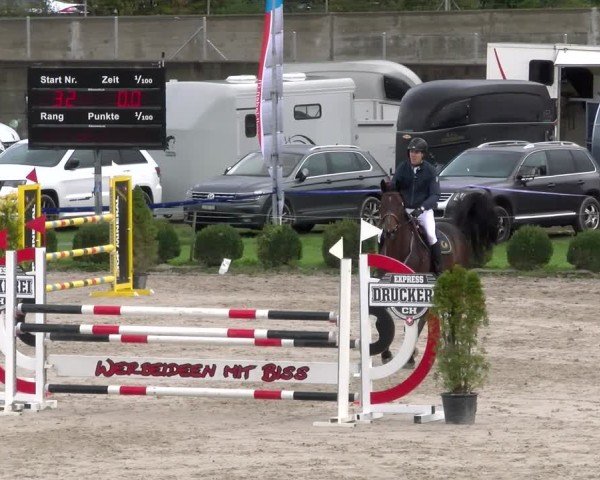 Reitturnier Basel 2024