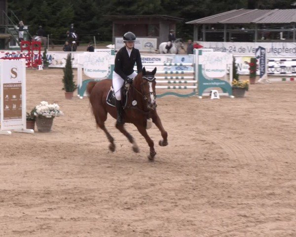 Reitturnier Ranshofen - Braunau am Inn 2024