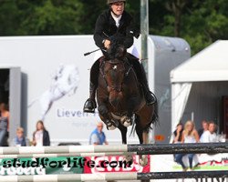 jumper Inuus van de Faunushoeve (Belgian Warmblood, 2008, from Boris van het Kluizebos)