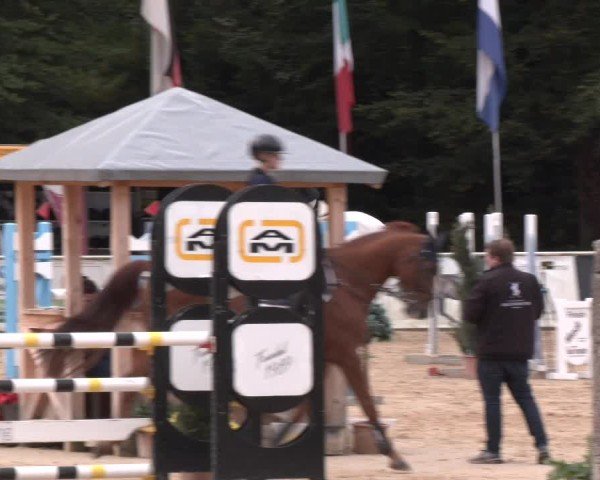 Reitturnier Ranshofen - Braunau am Inn 2024