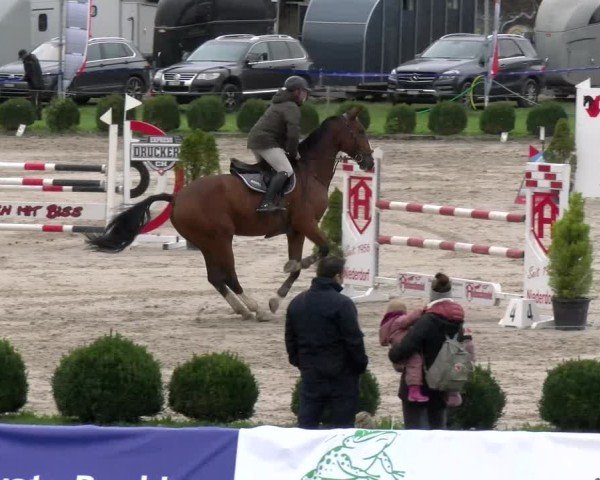Reitturnier Basel 2024