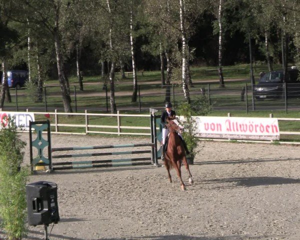 Reitturnier Westergellersen 2024