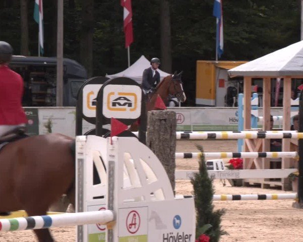 Reitturnier Ranshofen - Braunau am Inn 2024