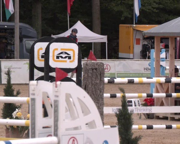 Reitturnier Ranshofen - Braunau am Inn 2024