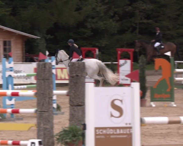 Reitturnier Ranshofen - Braunau am Inn 2024