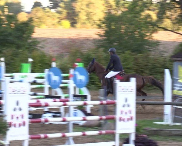 Reitturnier Baitz 2024