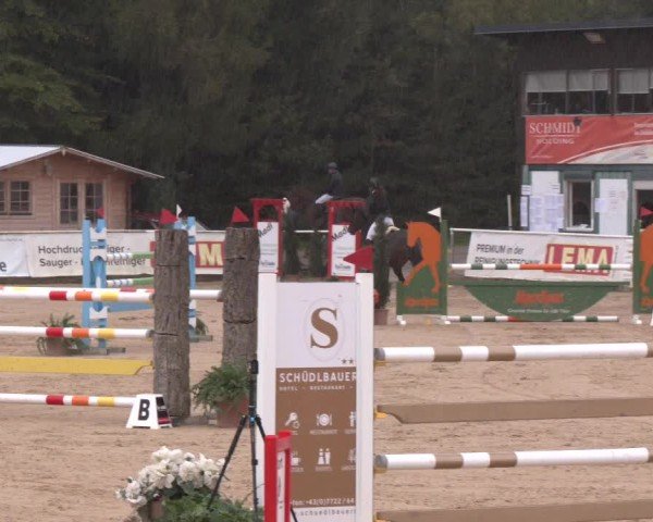 Reitturnier Ranshofen - Braunau am Inn 2024