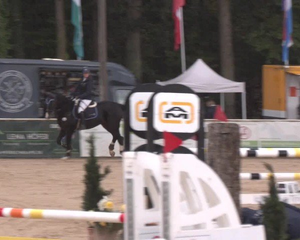 Reitturnier Ranshofen - Braunau am Inn 2024