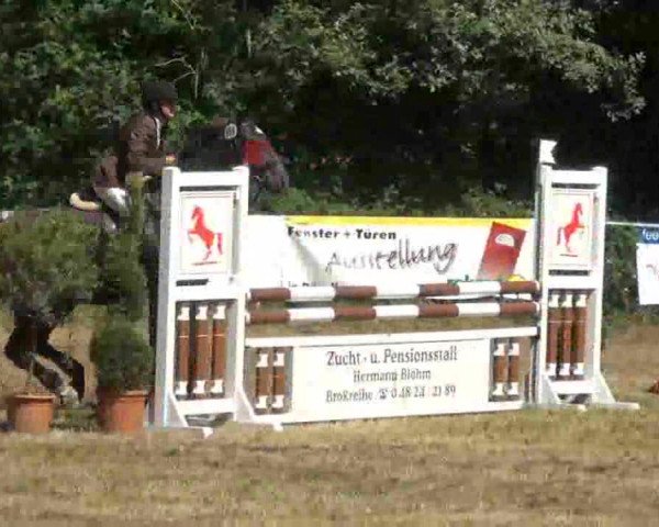 Herfart, Jubiläumsturnier m.Kreismeisterschaften d.RB Steinburg 2013