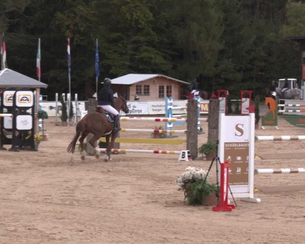 Reitturnier Ranshofen - Braunau am Inn 2024