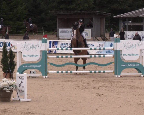Reitturnier Ranshofen - Braunau am Inn 2024