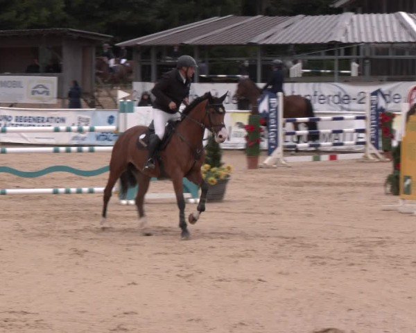 Reitturnier Ranshofen - Braunau am Inn 2024