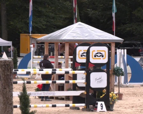 Reitturnier Ranshofen - Braunau am Inn 2024