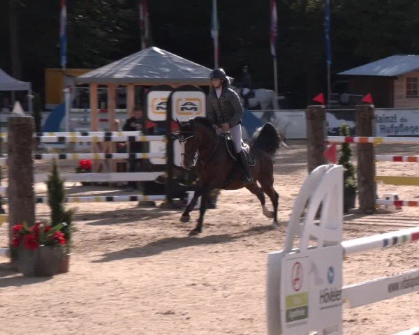 Reitturnier Ranshofen - Braunau am Inn 2024