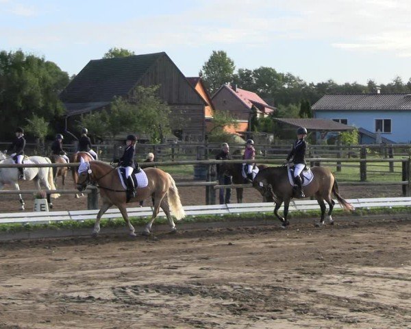 Reitturnier Baitz 2024