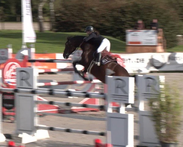 Reitturnier Westergellersen 2024