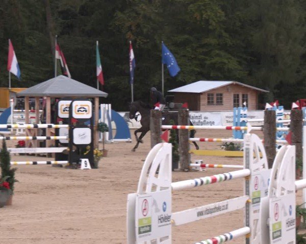 Reitturnier Ranshofen - Braunau am Inn 2024