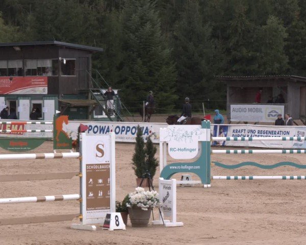 Reitturnier Ranshofen - Braunau am Inn 2024