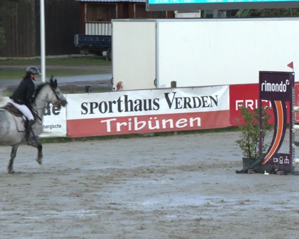 Reitturnier Westergellersen 2024