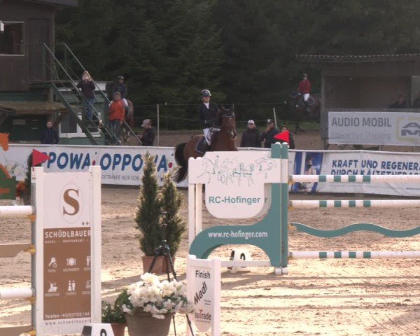 Reitturnier Ranshofen - Braunau am Inn 2024