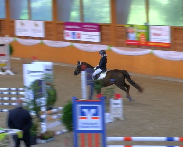 Reitturnier Xanten - Reitanlage Miss 2024