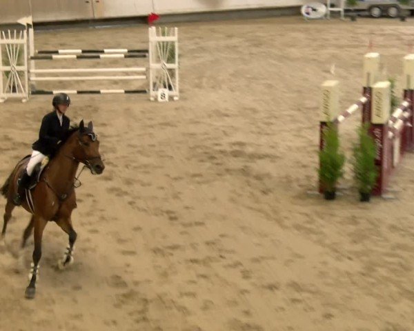 Reitturnier Winterthur 2024