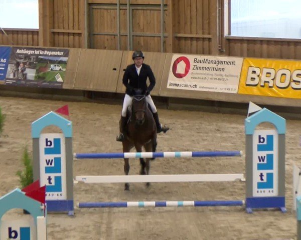 Reitturnier Winterthur 2024