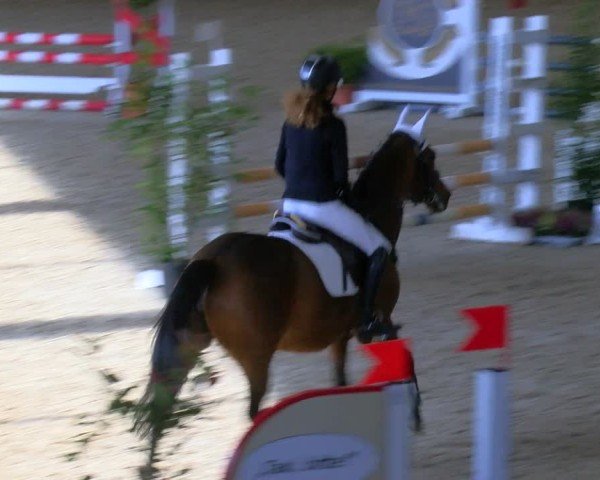 Reitturnier Xanten - Reitanlage Miss 2024