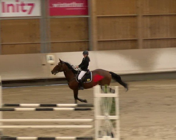 Reitturnier Winterthur 2024