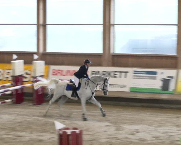 Reitturnier Winterthur 2024