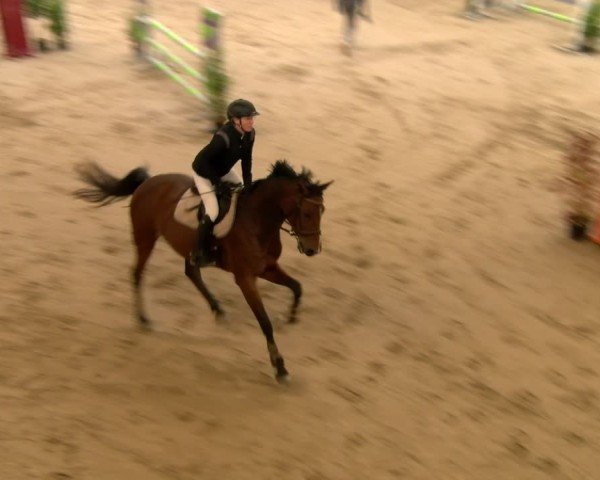Reitturnier Winterthur 2024