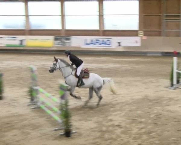 Reitturnier Winterthur 2024