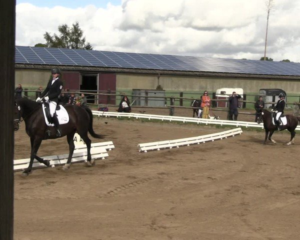Reitturnier Baitz 2024