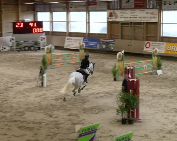 Reitturnier Winterthur 2024