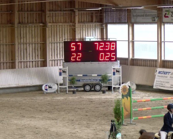 Reitturnier Winterthur 2024