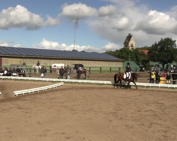 Reitturnier Baitz 2024