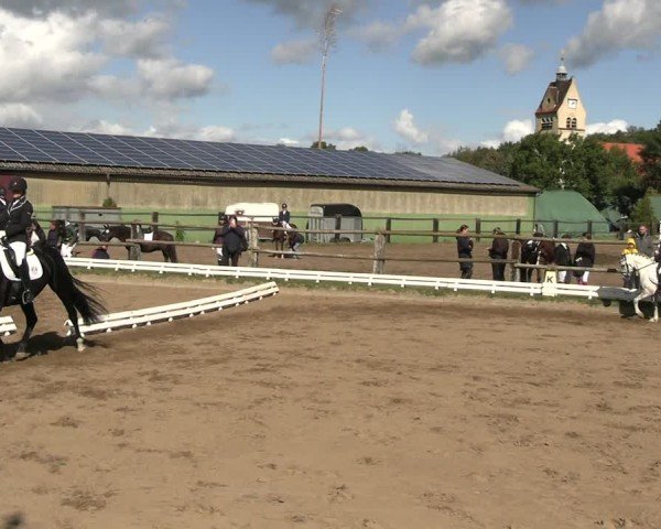Reitturnier Baitz 2024