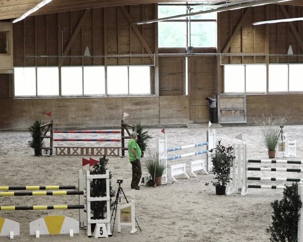 Reitturnier Rüti 2021