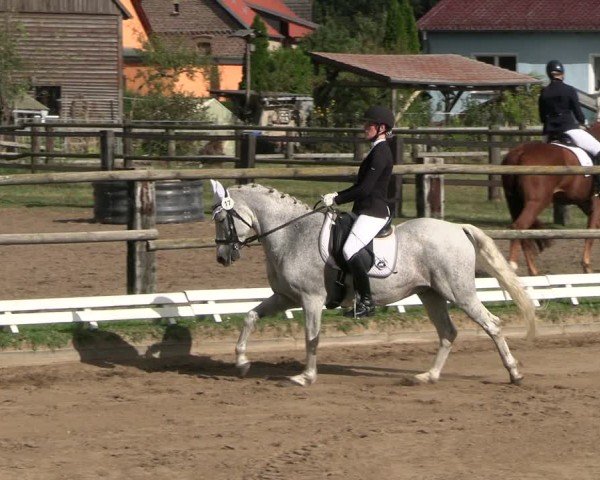 Reitturnier Baitz 2024