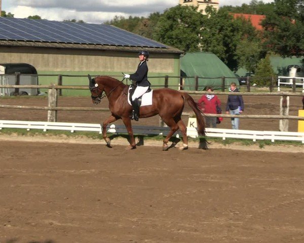 Reitturnier Baitz 2024