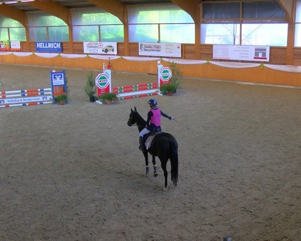 Reitturnier Xanten - Reitanlage Miss 2024