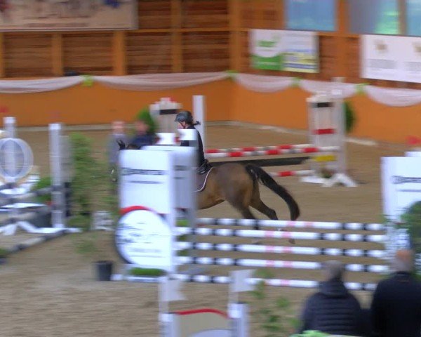 Reitturnier Xanten - Reitanlage Miss 2024