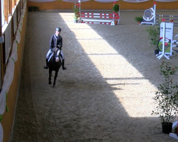 Reitturnier Xanten - Reitanlage Miss 2024