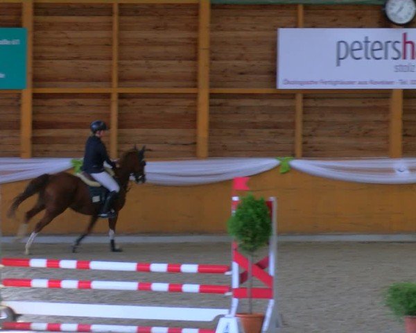 Reitturnier Xanten - Reitanlage Miss 2024