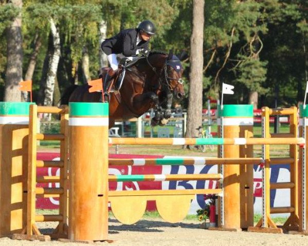 jumper Tchin de Pleville (Selle Français, 2007, from Dollar de la Pierre)