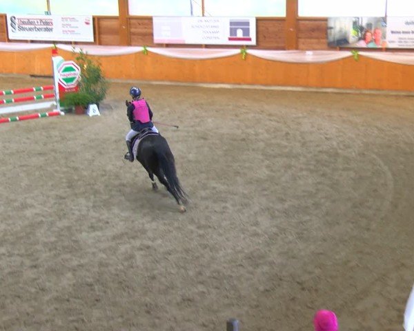 Reitturnier Xanten - Reitanlage Miss 2024