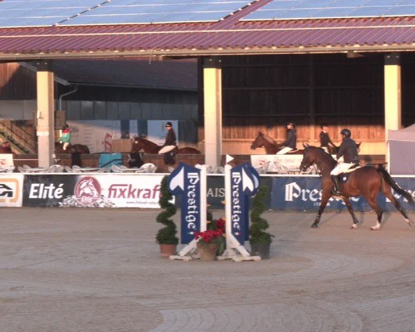 Reitturnier Ranshofen - Braunau am Inn 2024