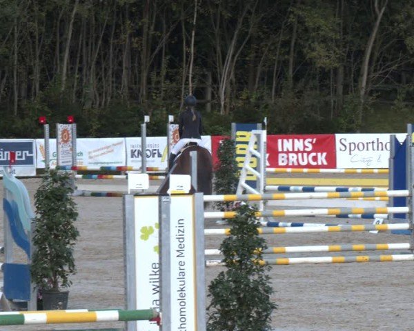 Reitturnier Igls 2024